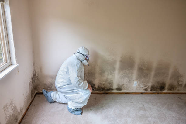 Best HVAC Mold Inspection and Cleaning  in Arden On The Severn, MD